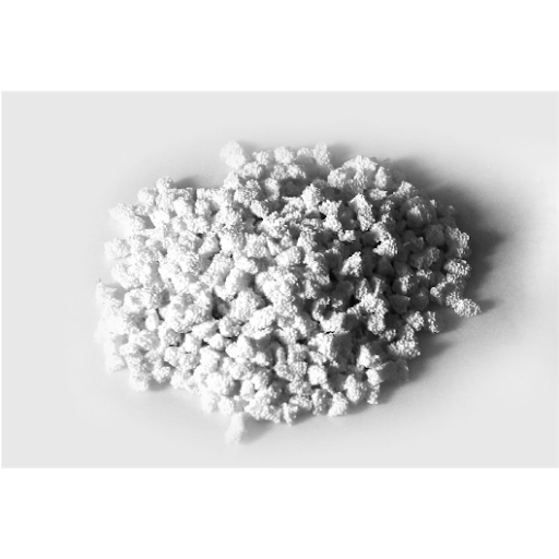 Bicera® Bone Graft Substitute